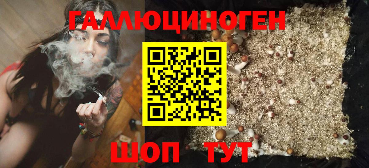 Псилоцибиновые грибы Psilocybe  цена наркотик  Валуйки  Вход с VPN 
